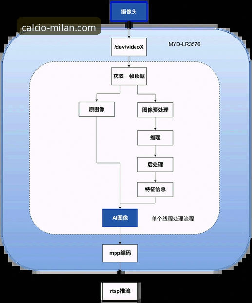 米兰体育平台移动端体验全面解析：从下载到实战的深度分析